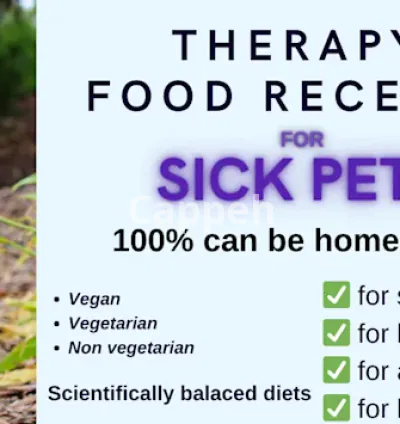 I will formulate pet food for dogs, cats, pets