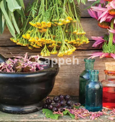 I will create a custom herbal tea blend for wellness