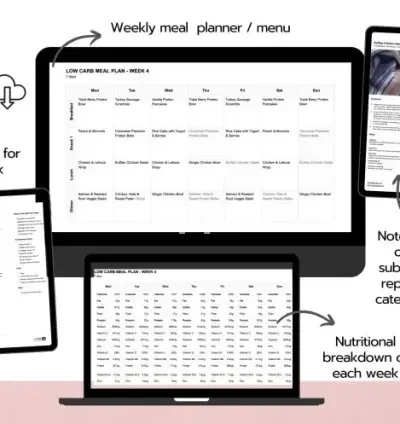 I will give you a low carb meal plan for weight loss or insulin resistance