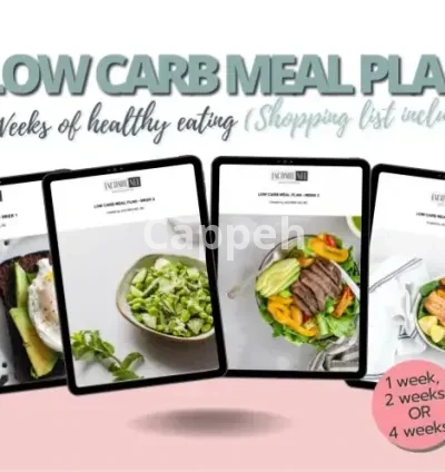 I will give you a low carb meal plan for weight loss or insulin resistance