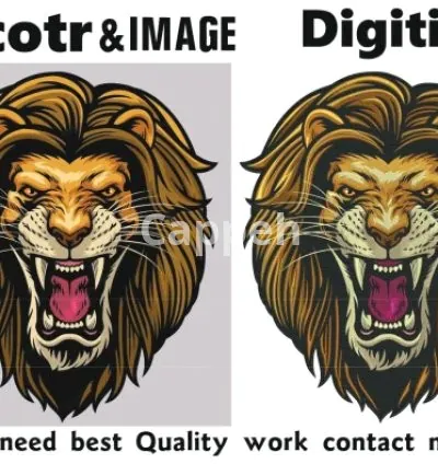 I will digitize image into embroidery digitizing in 1 hour