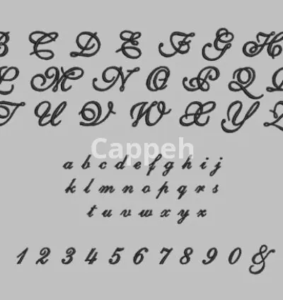 I will create embroidery fonts of your size and style bx and esa format