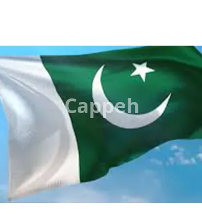 I will do anything related to pakistan for you