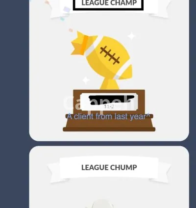 I will manage your fantasy football team like a pro