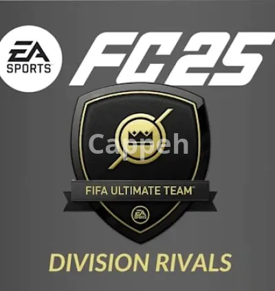 I will play your division rivals for you