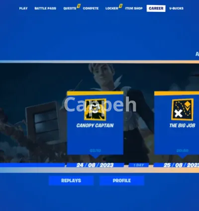 I will coach you on fortnite