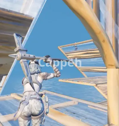 I will coach you on fortnite