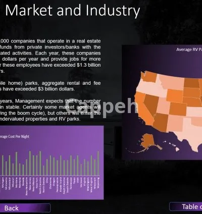 I will write a perfect five year business plan for you