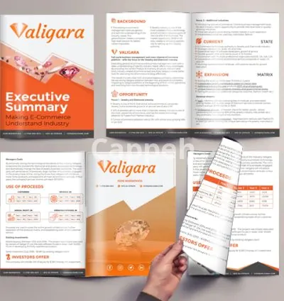 I will design your fundraising or sponsorship proposals