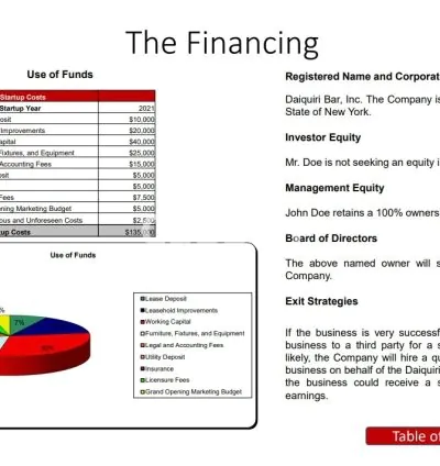 I will write a perfect bar or restaurant business plan for you