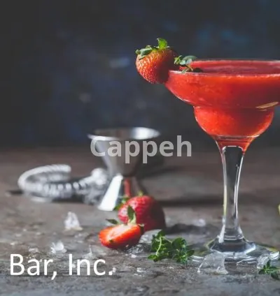 I will write a perfect bar or restaurant business plan for you