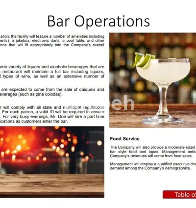 I will write a perfect bar or restaurant business plan for you