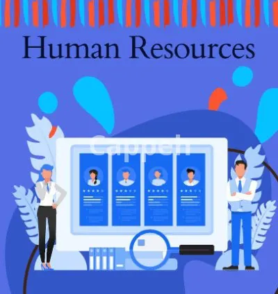 I will provide you with fractional human resources and recruiting