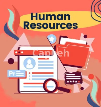 I will provide you with fractional human resources and recruiting