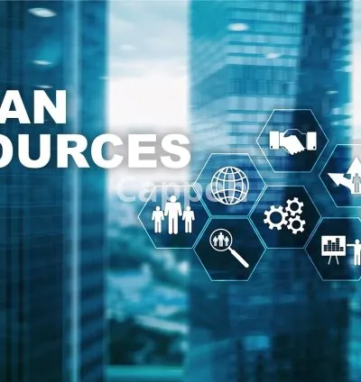 I will provide professional HR consultancy