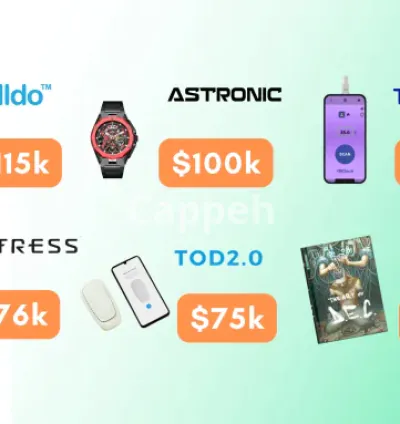 I will teach the kickstarter indiegogo successful strategy