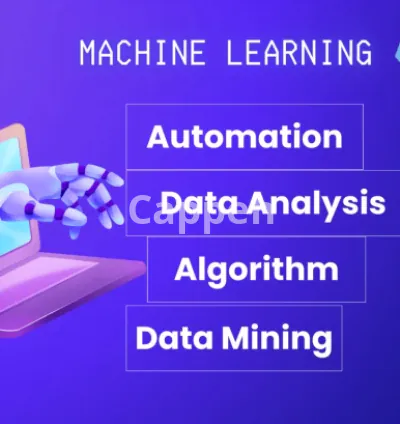 I will do python ml, nlp, image recognition assignments