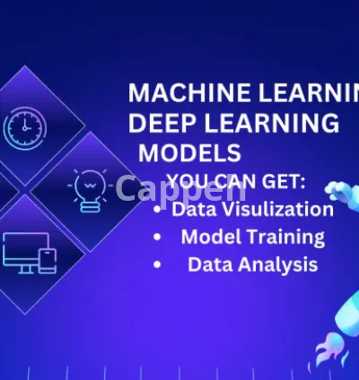 I will do python ml, nlp, image recognition assignments