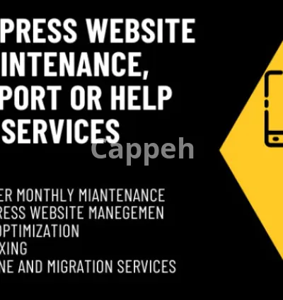 I will do wordpress website maintenance or website manager