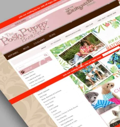 Our agency will offers expert product upload services for your shopify store