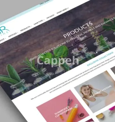 Our agency will offers expert product upload services for your shopify store