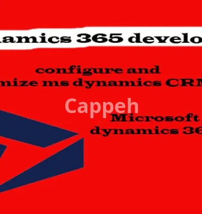 I will provide you hourly microsoft dynamics 365 consultancy