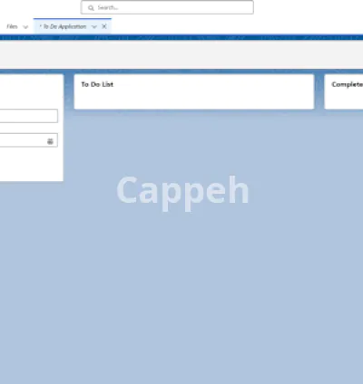 I will be your expert salesforce developer will handle all your salesforce work