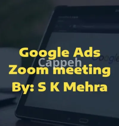 I will be your 1 on 1 consultant and coach for google adwords PPC campaigns