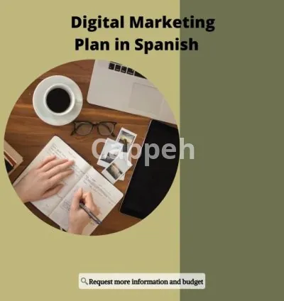 I will create digital marketing plan for your business in spanish
