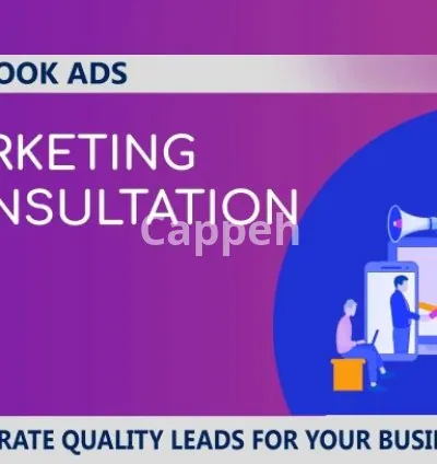 I will consult or manage your facebook and instagram ads