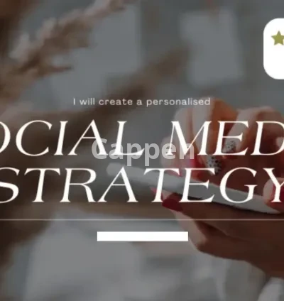 I will create a social media strategy for your business