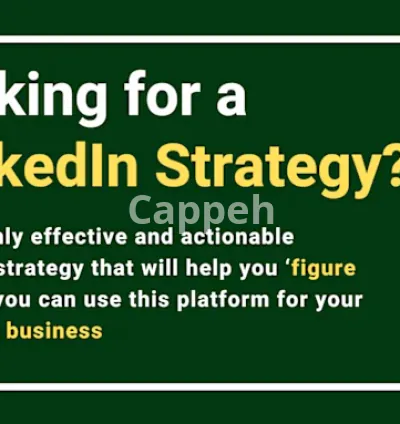 I will provide a linkedin strategy