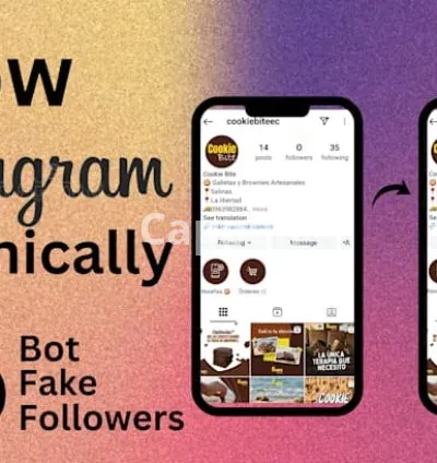 I will organically grow your instagram account