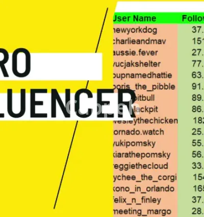 I will find best instagram influencer, top influencer and micro influencer