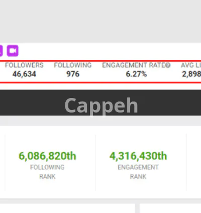 I will research and find instagram influencer marketing for your niche brand