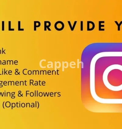I will research and find instagram influencer marketing for your niche brand