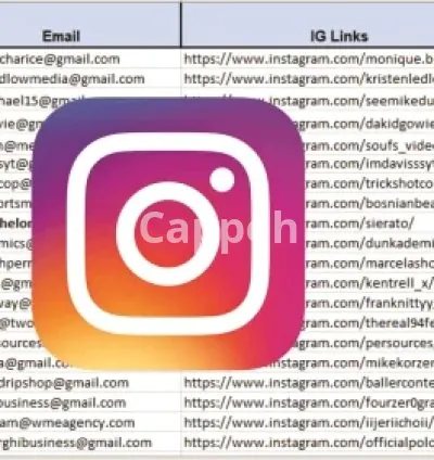 I will find best instagram, fb, youtube, influencer for your brand