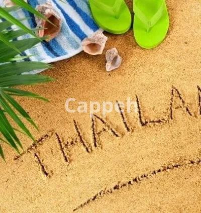 I will do and help anything for you in thailand