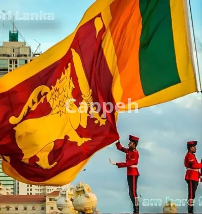 I will assist you anything related to sri lanka